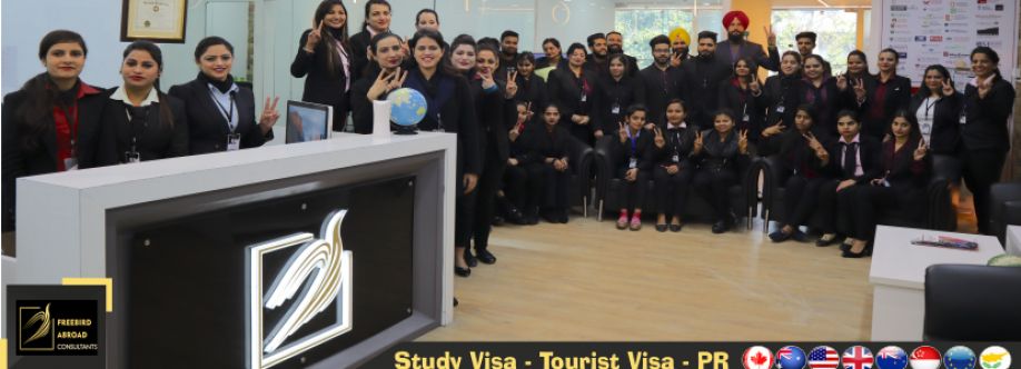 FreebirdAbroad Consultants Cover Image