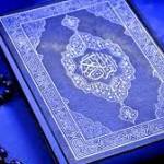 Saddam Ahmed Profile Picture