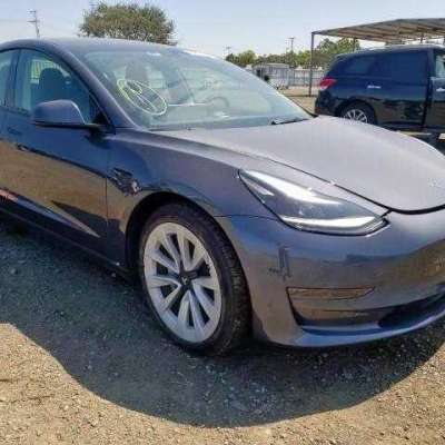 2022 TESLA Profile Picture