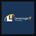Leverage IT Consulting Profile Picture