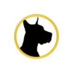 Tractiondog Training Profile Picture