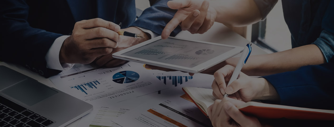 CFO Office Services | TresVista