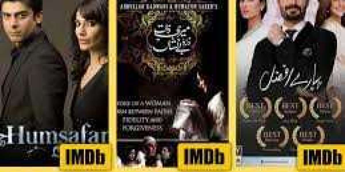 Best Pakistani Dramas to Watch - TrendPickle