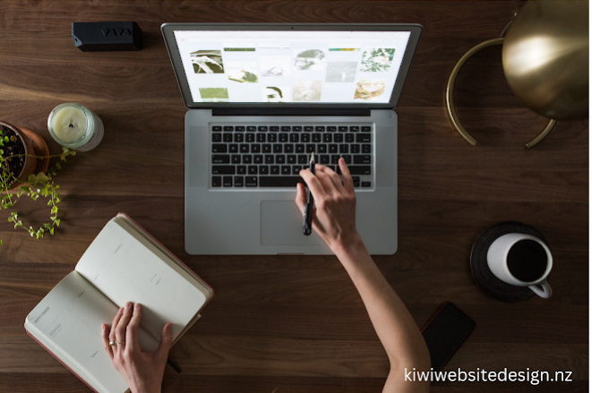 Kiwi Website Design Reviews