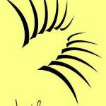 JPride Lashes Profile Picture