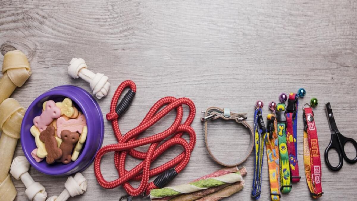 Perfect Accessories Store For Your Furry Friend – Red Fluffy Pets Accessories