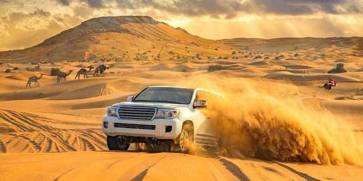 Top 10 Activities While Venturing out To Dubai