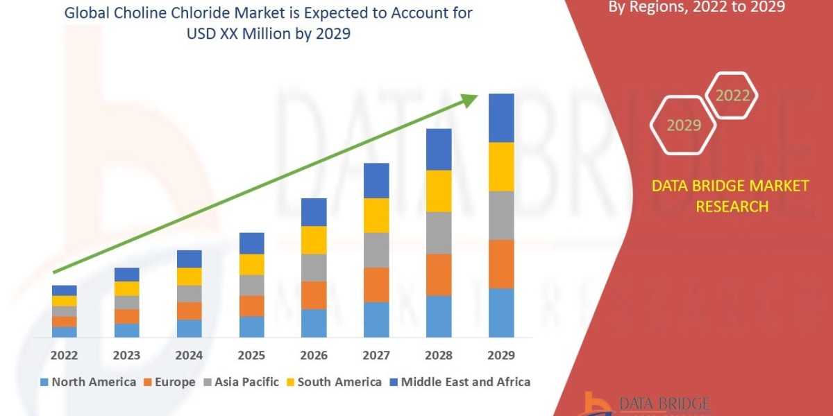 Choline Chloride Market Analytical Overview, Growth Factors, Demand Trends and Forecast by 2029