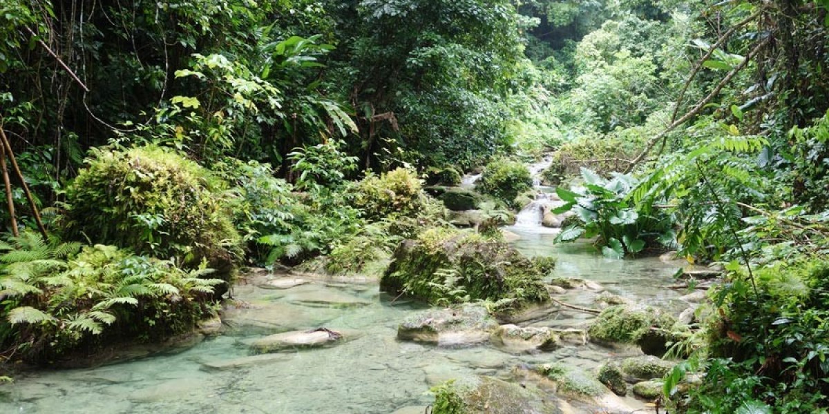 Top Birthday Party Hotels in Jamaica