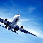 Sky Net Fares Profile Picture