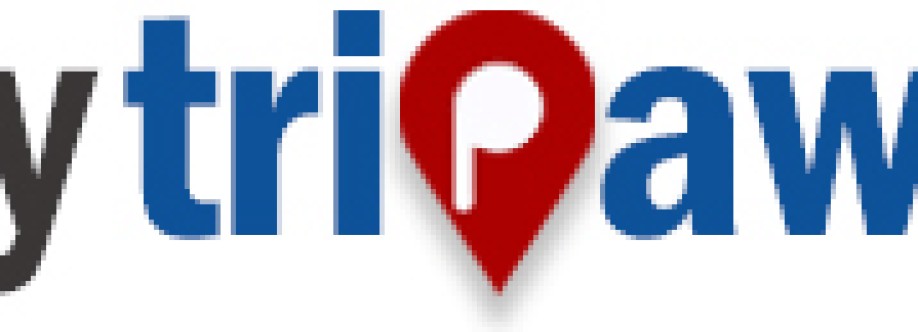 Skytrip away Cover Image