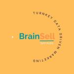 brainsellservices Profile Picture