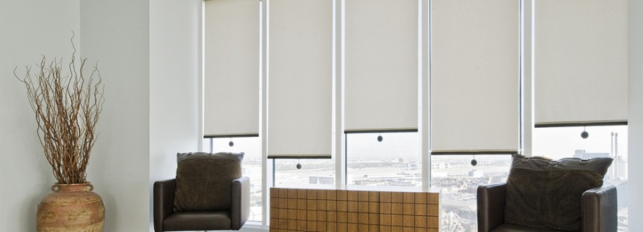Impress Blinds Cover Image