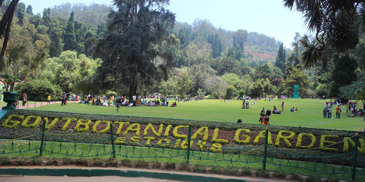 Ooty’s Ooty Lake: Enjoying Boating and Leisure Activities. 