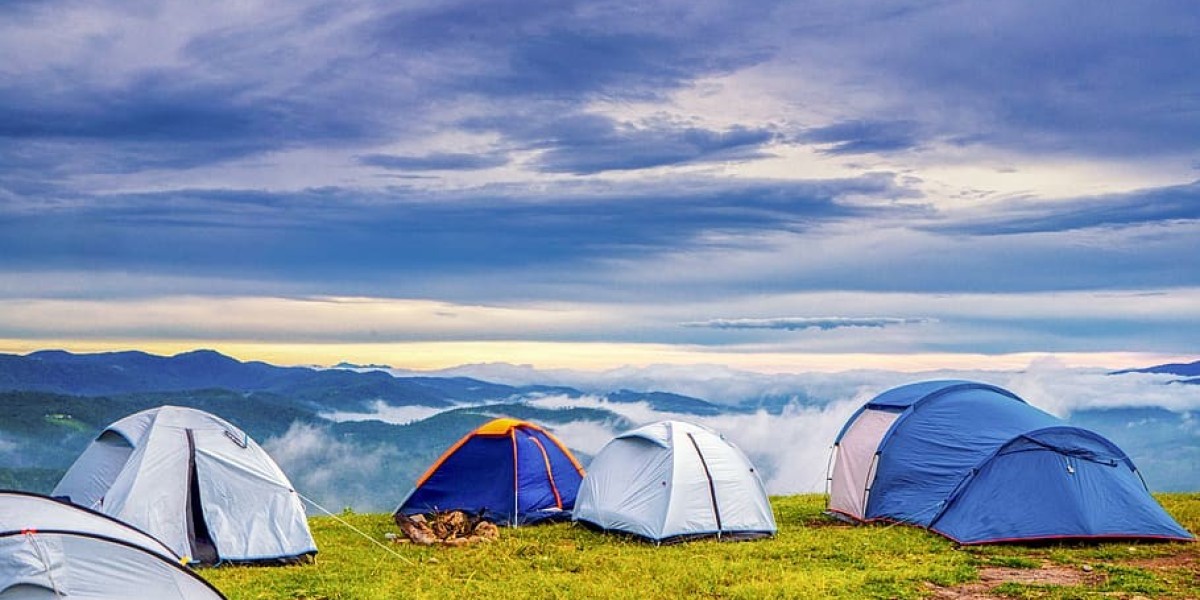 Unleash Your audacious Spirit Paragliding in Bir Billing, the Paragliding Capital of India 