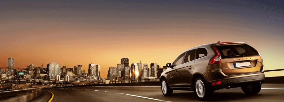 Goicar Cover Image