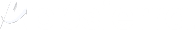Mobile Testing Services, Best Mobile App Testing Company - Appsierra