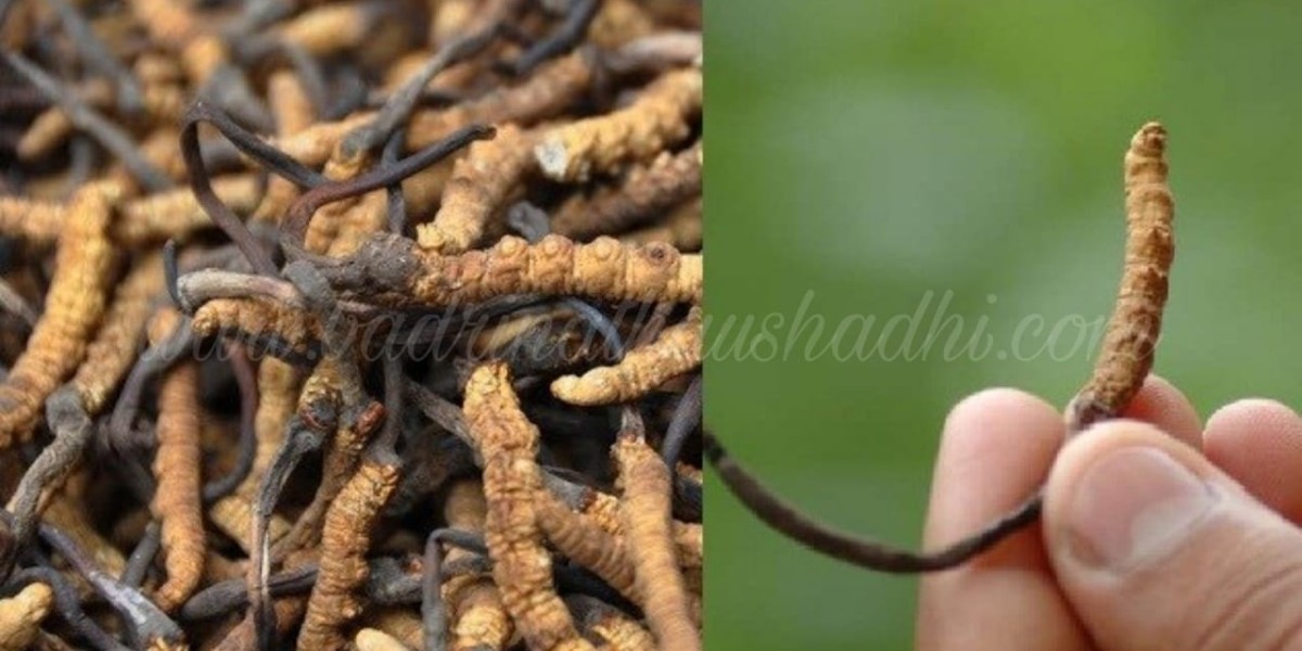 How to use Ayurvedic medicines?