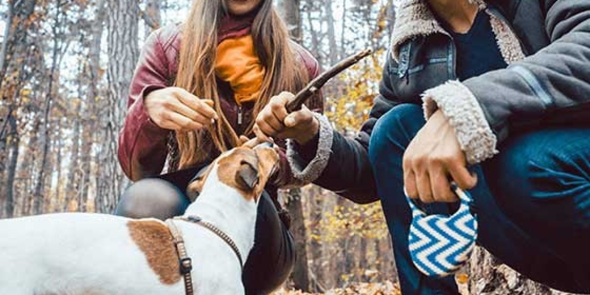 Bully Sticks for Dogs
