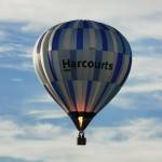 harcourts hamilton Profile Picture