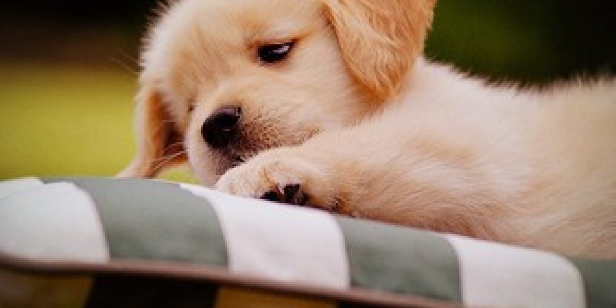 Customized Commercial Lawn