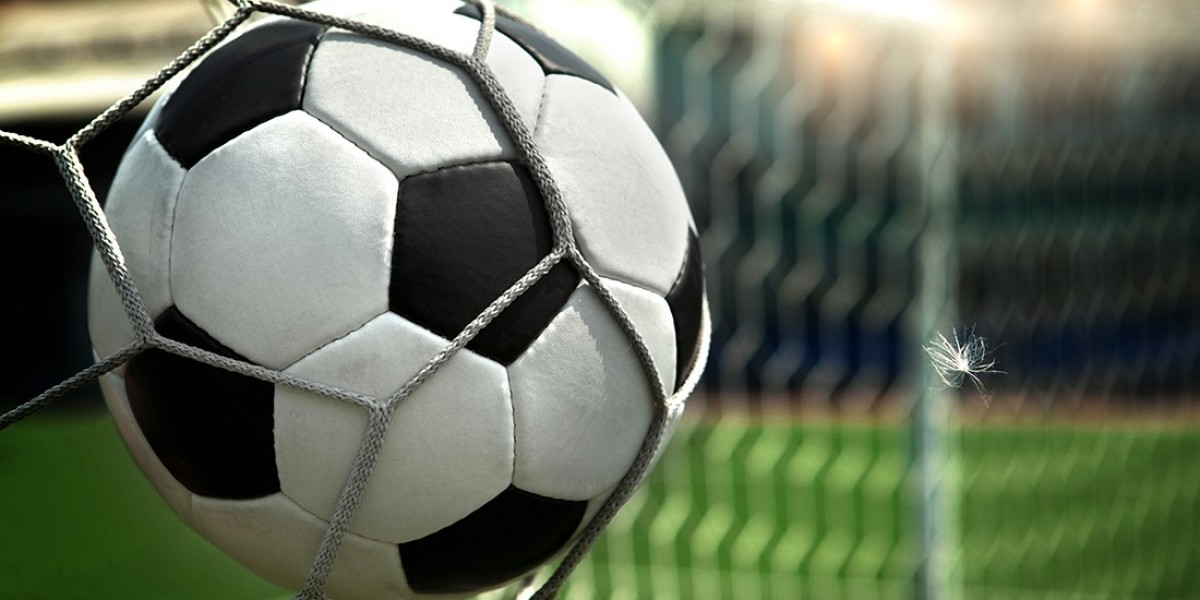 Apostas Esportivas: Por Onde Começar