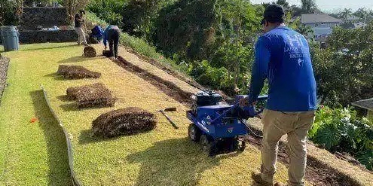 Why Kailua-Kona Residents Should Hire Professional Landscapers
