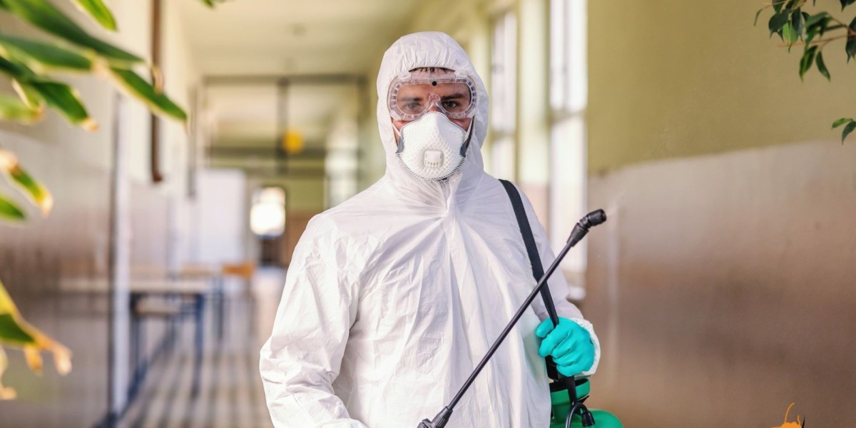 Get Rid of Termites: Effective Methods for Termite Control