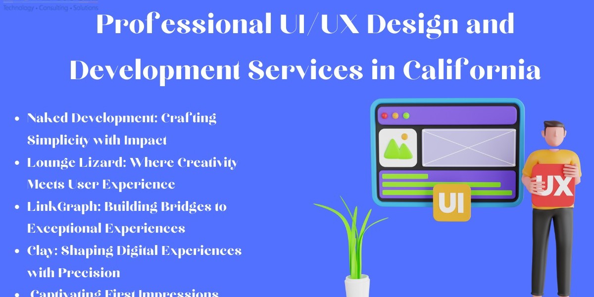 Professional UI/UX Design and Development Services in California