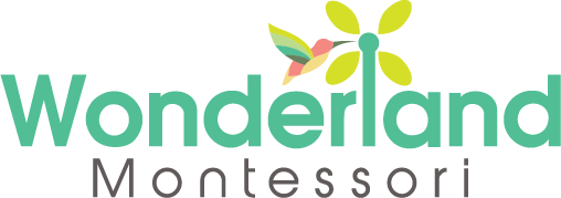 "Montessori School in Flower Mound: Unleash Child's Potential."