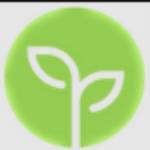 NGF Global Profile Picture