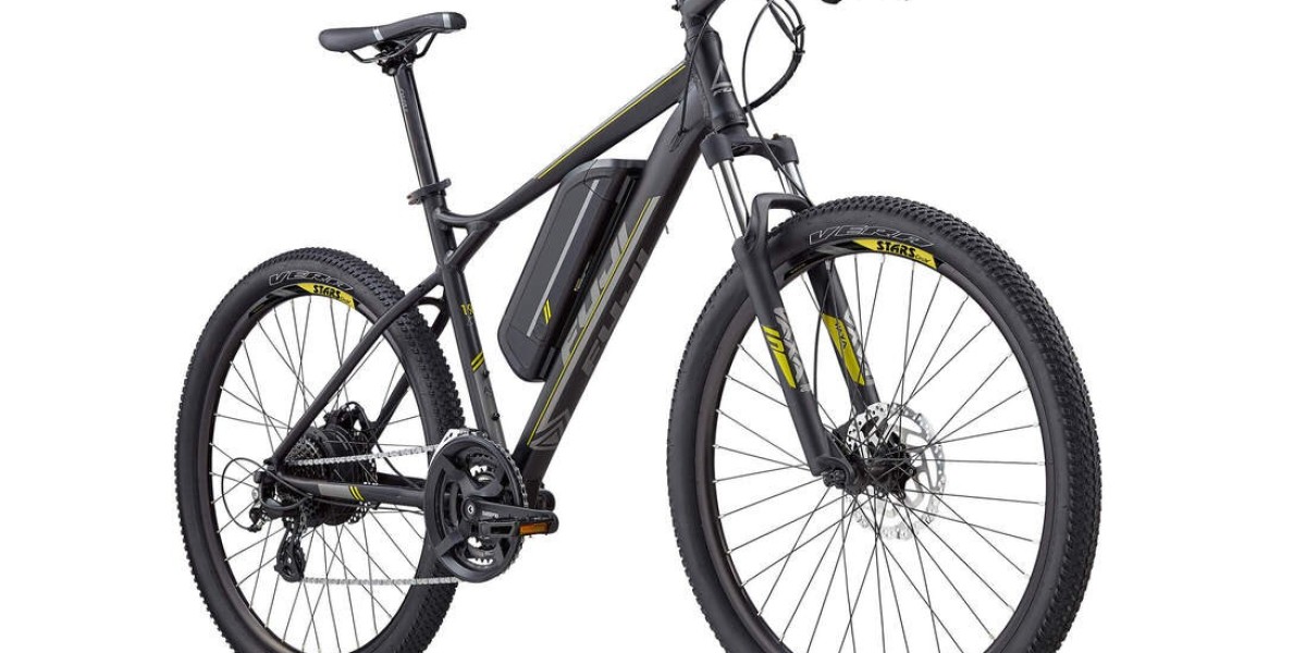 Discover Brisbane on Two Wheels with Bike Rental Brisbane