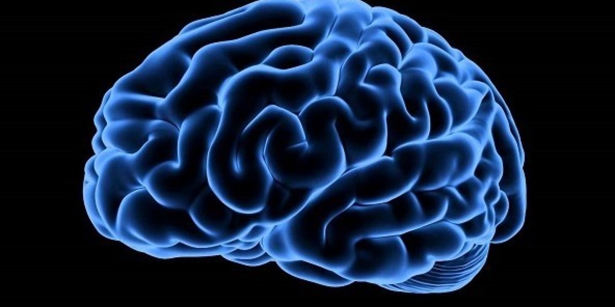 Potential Treatment Strategies for CNS Diseases Require More Research