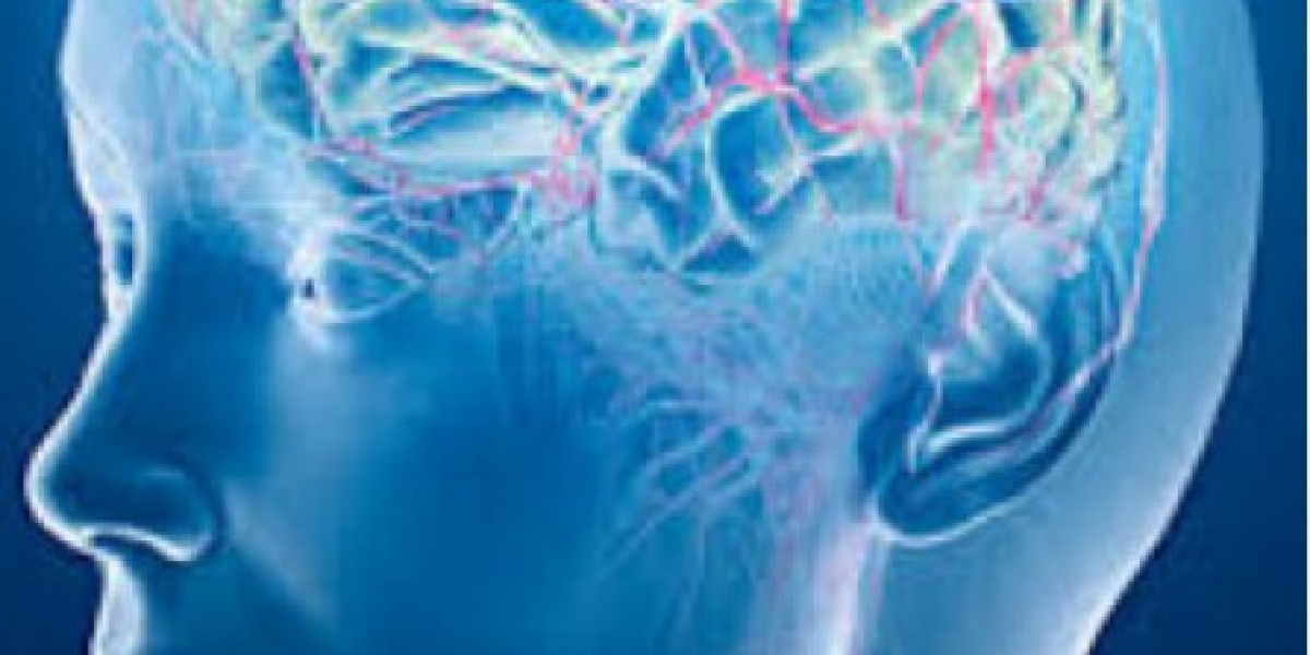 Top Pharma Franchise for Neuro Products – Werke Health