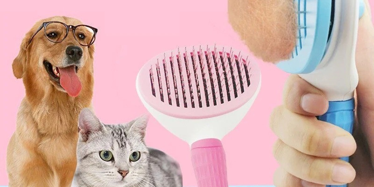 Tidy and Tailored: The Essential Guide to Choosing the Right Litter Box