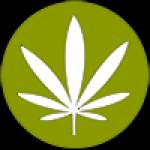 Mike R Profile Picture