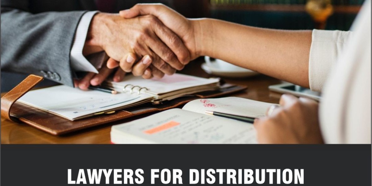 Best Immigration Lawyer in Brampton Canada
