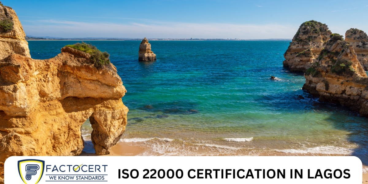 What are the ISO 22000 certification requirements in Lagos? Food Safety Management System?  / Uncategorized / By Factoce