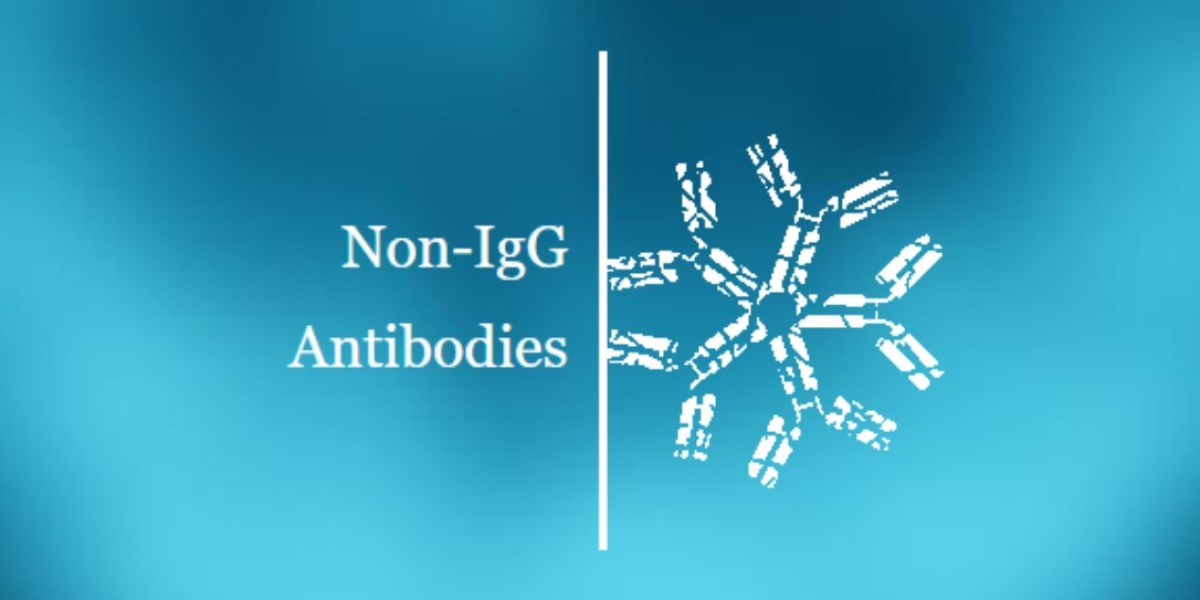Difference Between Protein A/G/L: Protein L