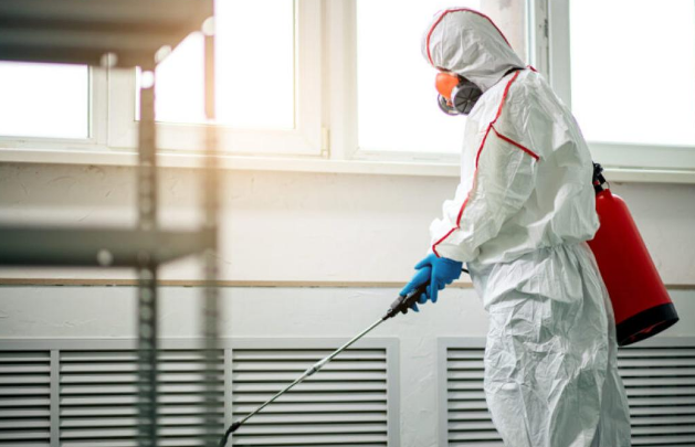 The Importance of a Professional Mold Removal Company for Your Home