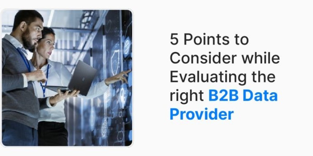 B2B Data Services | B2B Data Solutions