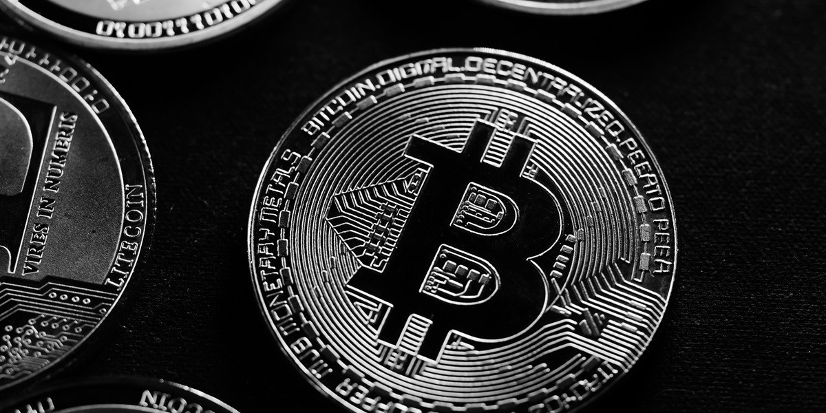 NovaNetCapital: Charting a Course in the Financial Frontier