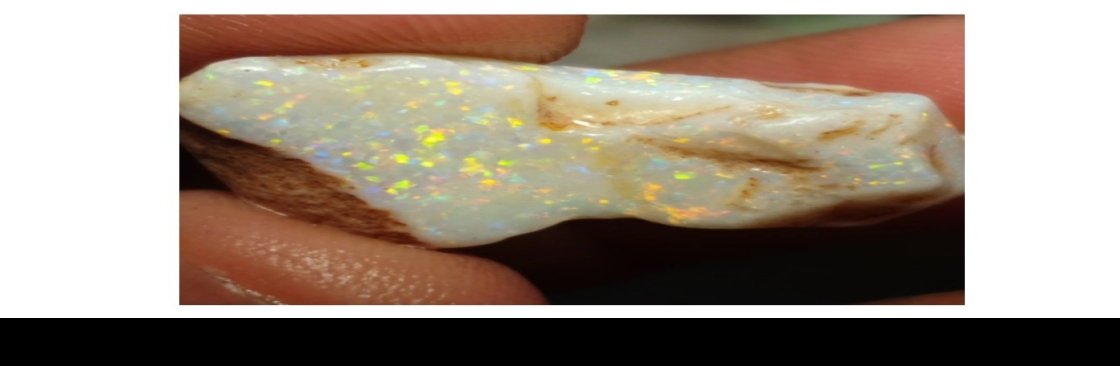 rainbowopal Cover Image