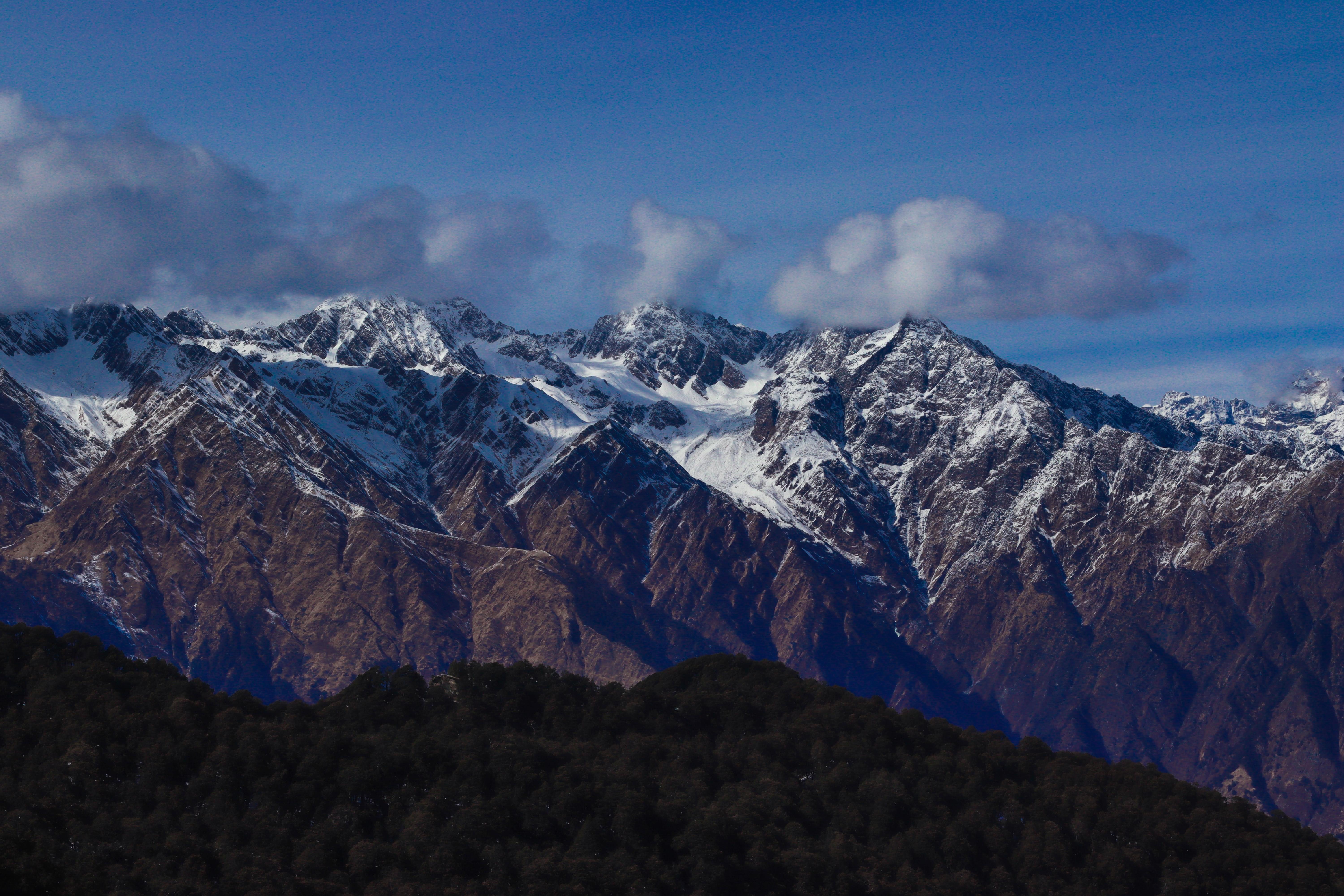 Corbett Tour Packages | Upto 50% Off February SALE