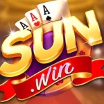 Sunwin20 Meme Profile Picture