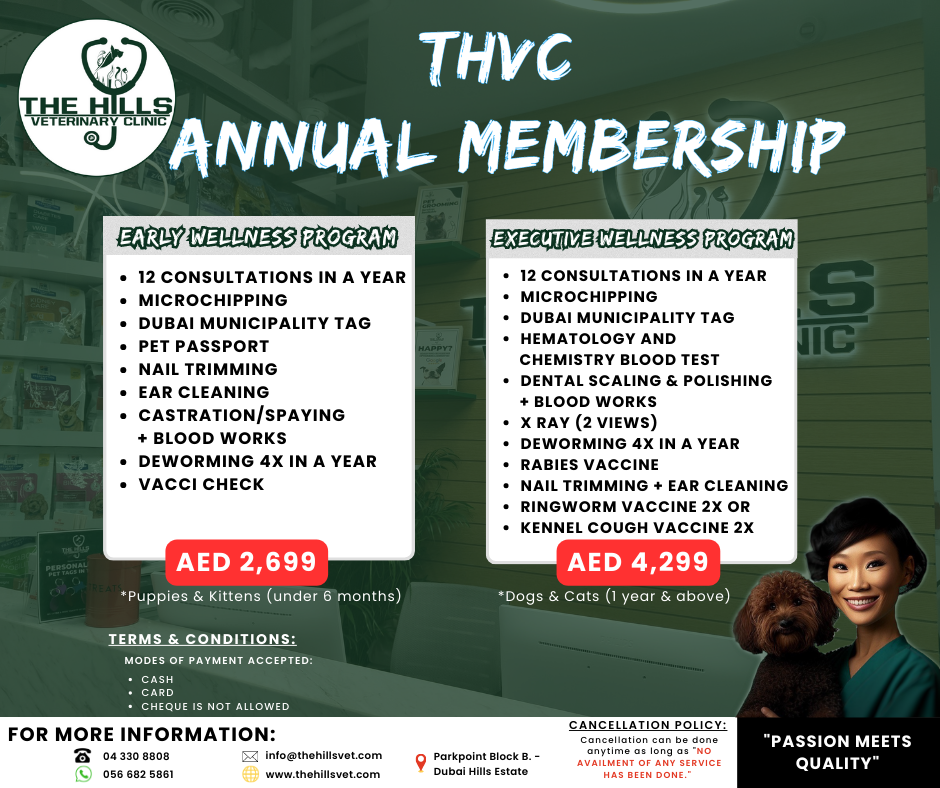 The Hills Veterinary Clinic | Best Veterinary Clinic Dubai