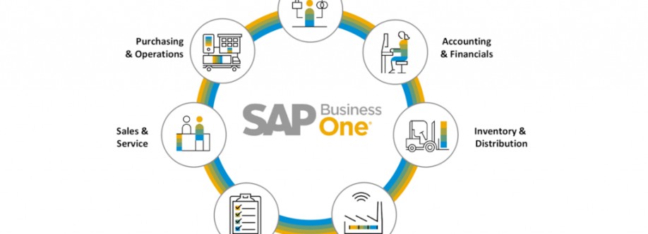 Cogniscient Business Solutions Cover Image