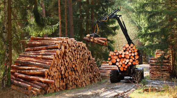 The Impact of Lot Clearing Operations on Urban Development