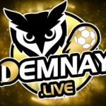 Trực tiếp Demnay Live Profile Picture