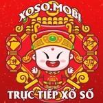 Kết quả xổ số miền Bắc hôm nay nhanh nhất Profile Picture